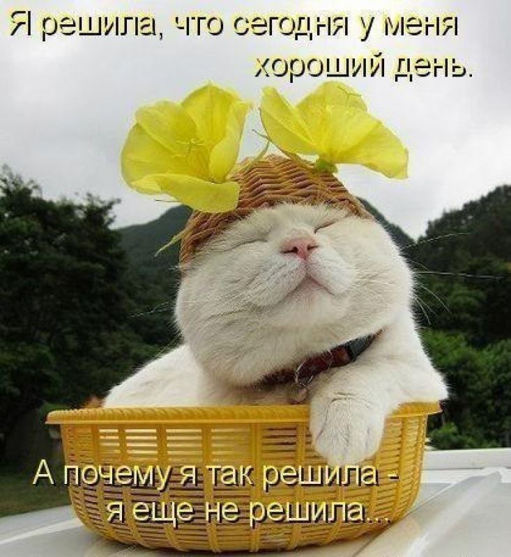 Darina :) - 21 февраля 2014 в 21:15