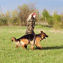 ���� �����, ����������, 38 ��� - ��������� 9 ������� 2013 � ������ ���� ����������