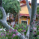 ���� ������, ������, 63 ���� - ��������� 25 �������� 2013 � ������ ���� ������� ���....�