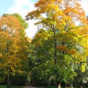 ������ �� ������� ���� ����������