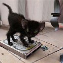 ���� ����, ��������, 22 ���� - ��������� 21 ������� 2013 � ������ ���� ����������