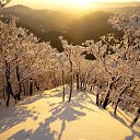 ���� ,����,, �� 105 ������, ������-��-���� - ��������� 2 ������� 2014 � ������ �����)�