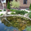 ���� ������ ����, ����, 44 ���� - ��������� 17 ������� 2013 � ������ �������� ������!�