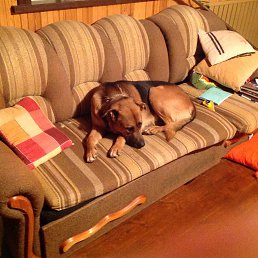 �����, ������, 31 ���