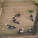 ���� ������, ������, 64 ���� - ��������� 21 �������� 2013 � ������ �� ����� ���� "�������" 18.09.2013�