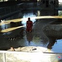 ���� �����, ��������, 52 ���� - ��������� 27 ������� 2013 � ������ ��������