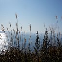 ���� ������, �������, 49 ��� - ��������� 1 �������� 2013 � ������ ���� ����������