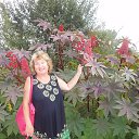 ����. ���������.