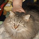 ���� ������� �., ����� - ��������� 16 ������� 2014 � ������ ������ ��������