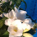 ������ ��� ��� ���-)))))) �� ������� ���� ����������