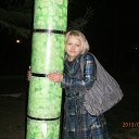 ���� ����, �����, 50 ��� - ��������� 8 ������� 2013 � ������ ���� ����������