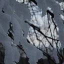 ���� ������, ������, 39 ��� - ��������� 9 ������� 2014 � ������ �����