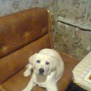 ���� �����, ���������, 50 ��� - ��������� 15 ������ 2014 � ������ ���� ����������