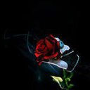 ���� ����, ����������� - ��������� 30 ������ 2014 � ������ ���� ����������