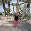 �����. ������� ������� � ������� �� ������� ���� ����������