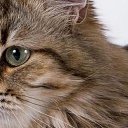 ���� �������, ������������, 58 ��� - ��������� 28 ������� 2014 � ������ ���� ����������