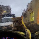 ���� S., ������, 61 ��� - ��������� 12 ������ 2013 � ������ ���� ����������