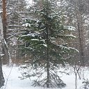  ,  -  6  2014    2014