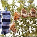 ���� ����, ����, 56 ��� - ��������� 8 ����� 2014 � ������ ������ ��������