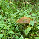 ���� ������, �����, 54 ���� - ��������� 21 ������� 2013 � ������ �����2013�