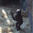 ���� ���������, �����, 56 ��� - ��������� 22 �������� 2013