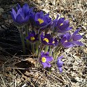 ���� ����������, ������, 47 ��� - ��������� 20 ������ 2013 � ������ ���� ����������