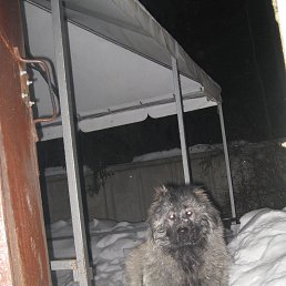 ���� ����, ����� - ��������� 29 ������ 2013