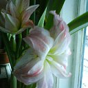 ���� ������, ������ ��������, 65 ��� - ��������� 21 ������ 2014 � ������ ���� ����������