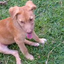 ���� Aleks, ����� ������� - ��������� 11 ������ 2013 � ������ ��������� �������.�