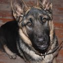 ���� ������, ������� - ��������� 21 ������� 2013 � ������ ���� ����������