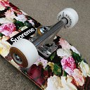 ���� ���, �����-���������, 37 ��� - ��������� 5 ����� 2014 � ������ ���� ����������