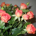 ���� �����, ������ - ��������� 21 ������� 2013 � ������ �����