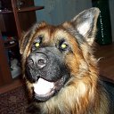 ���� ������, �����-��������� - ��������� 13 ����� 2014 � ������ ������ ��������