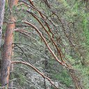 ���� Svann, ���������, 71 ��� - ��������� 18 �������� 2013 � ������ �������� �����
