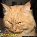 ���� ����� (98 Rus), �����-��������� - ��������� 18 ������ 2014 � ������ ���� ����������