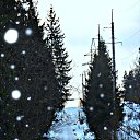 ���� �� ��� ������, ��������� �� ����� �� ������� ������������� �����