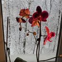 ���� �����, �������, 44 ���� - ��������� 9 ������ 2014 � ������ ���� ����������