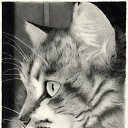 ���� �������, �������� - ��������� 10 ������� 2014 � ������ ���� ����������