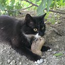 ���� ����, ����������� - ��������� 20 ������� 2013 � ������ ���� ����������