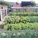 ���� �������� ���������, ����, 83 ���� - ��������� 7 ������� 2013 � ������ ���� ����������