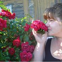  , -, 48  -  23  2013    