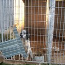  Fausto Migliorati, , 61  -  1  2013    