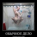 ���� ������, ������ - ��������� 23 ������� 2013 � ������ �������