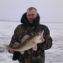 ������ 2014