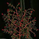 ���� �����, �����, 64 ���� - ��������� 20 ������� 2014 � ������ ���� ��������߻