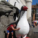 ���� �������, �����, 52 ���� - ��������� 9 ������ 2014 � ������ ���� ����������