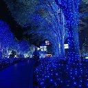 ���� ��������, ��������, 70 ��� - ��������� 9 ������ 2014 � ������ ���� ����������