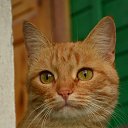 ���� �������, ��������, 53 ���� - ��������� 19 �������� 2013 � ������ ���� ����������