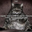 ���� Vlad, ���������, 57 ��� - ��������� 3 ������� 2013 � ������ ���� ����������