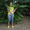 ���� ����� ����������, ������, 49 ��� - ��������� 7 �������� 2013 � ������ ���� ����������